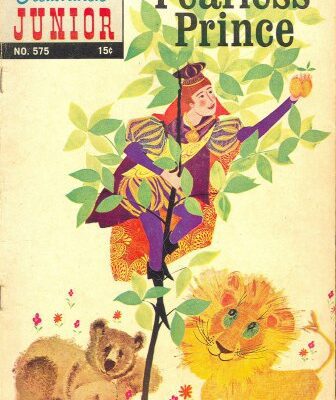 خرید و دانلود نسخه کامل کتاب The Fearless Prince