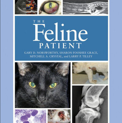 خرید و دانلود نسخه کامل کتاب The feline patient