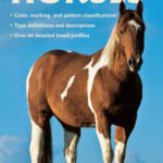 خرید و دانلود نسخه کامل کتاب The Field Guide to Horses