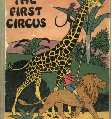 خرید و دانلود نسخه کامل کتاب The First Circus