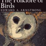 خرید و دانلود نسخه کامل کتاب The Folklore of Birds