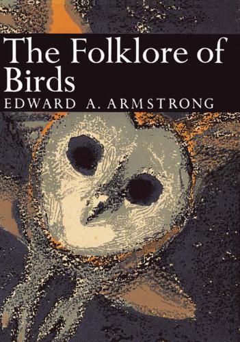 خرید و دانلود نسخه کامل کتاب The Folklore of Birds_68ec13df6fcf3.jpeg خرید و دانلود نسخه کامل کتاب The Folklore of Birds