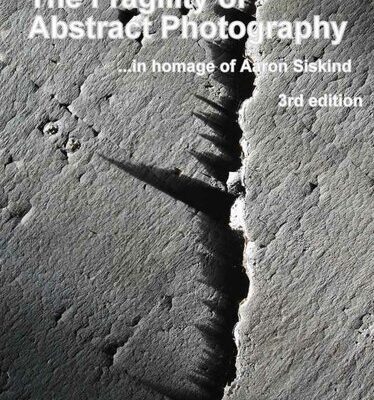 خرید و دانلود نسخه کامل کتاب The Fragility of Abstract Photography… in homage to Aaron Siskind: The art of large format abstract photography