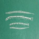 خرید و دانلود نسخه کامل کتاب The Freshwater Fishes of Western Borneo (Kalimantan Barat, Indonesia, Memoirs of the California Academy of Sci Srs No. 14:)