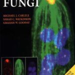 خرید و دانلود نسخه کامل کتاب The Fungi