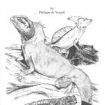 خرید و دانلود نسخه کامل کتاب The General Care and Maintenance of Green Water Dragons, Sailfin Lizards and Basilisks (General Care and Maintenance of Series)