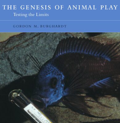 خرید و دانلود نسخه کامل کتاب The Genesis of Animal Play: Testing the Limits (Bradford Books)