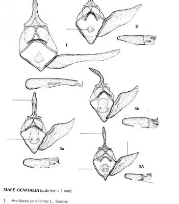 خرید و دانلود نسخه کامل کتاب The Geometrid Moths of Europe