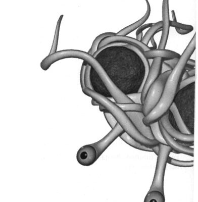 خرید و دانلود نسخه کامل کتاب The gospel of the flying spaghetti monster