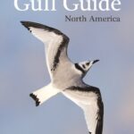 خرید و دانلود نسخه کامل کتاب The Gull Guide: North America
