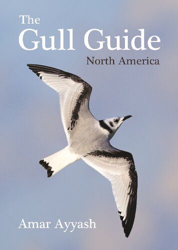 خرید و دانلود نسخه کامل کتاب The Gull Guide: North America_68e02239d5d1f.jpeg خرید و دانلود نسخه کامل کتاب The Gull Guide: North America