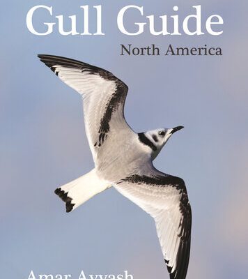 خرید و دانلود نسخه کامل کتاب The Gull Guide: North America