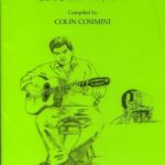 خرید و دانلود نسخه کامل کتاب The Gypsy Jazz Guitar Chords