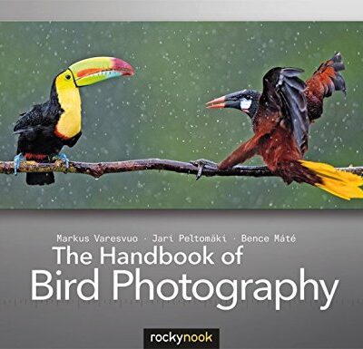 خرید و دانلود نسخه کامل کتاب The Handbook of Bird Photography