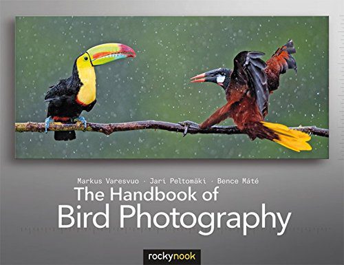 خرید و دانلود نسخه کامل کتاب The Handbook of Bird Photography_68e050057e6cb.jpeg خرید و دانلود نسخه کامل کتاب The Handbook of Bird Photography
