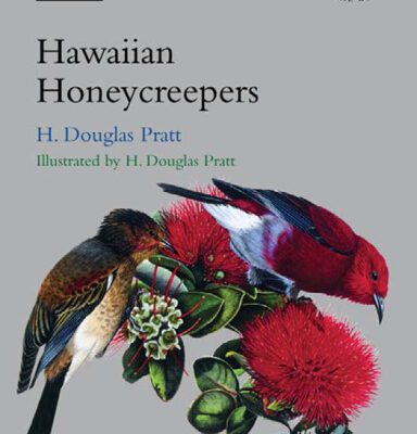 خرید و دانلود نسخه کامل کتاب The Hawaiian Honeycreepers: Drepanidinae (Bird Families of the World)