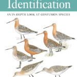 خرید و دانلود نسخه کامل کتاب The Helm Guide to Bird Identification