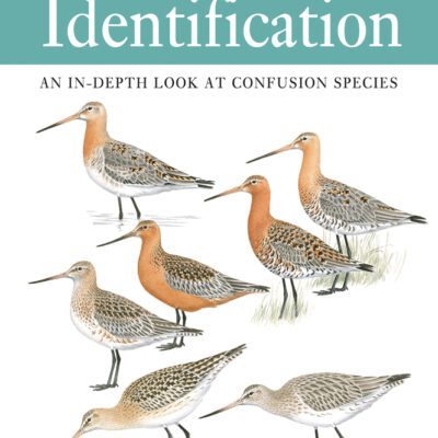 خرید و دانلود نسخه کامل کتاب The Helm Guide to Bird Identification