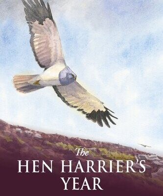 خرید و دانلود نسخه کامل کتاب The Hen Harrier’s Year