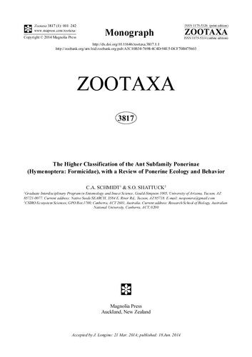 خرید و دانلود نسخه کامل کتاب The higher classification of the ant subfamily Ponerinae (Hymenoptera Formicidae), with a review of Ponerine ecology and behavior_68e758aba6730.jpeg خرید و دانلود نسخه کامل کتاب The higher classification of the ant subfamily Ponerinae (Hymenoptera Formicidae), with a review of Ponerine ecology and behavior