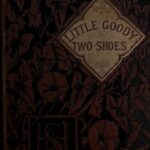 خرید و دانلود نسخه کامل کتاب The History of Little Goody Two-Shoes