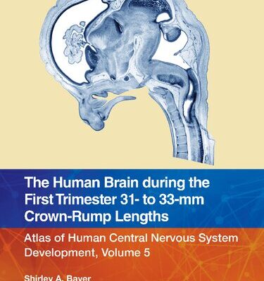 خرید و دانلود نسخه کامل کتاب The Human Brain during the First Trimester 31- to 33-mm Crown-Rump Lengths