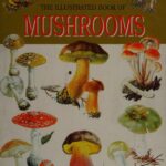 خرید و دانلود نسخه کامل کتاب The illustrated book of mushrooms