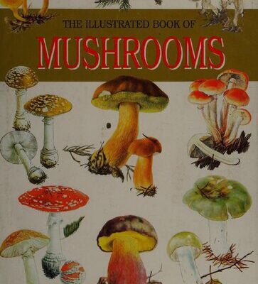 خرید و دانلود نسخه کامل کتاب The illustrated book of mushrooms