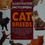 خرید و دانلود نسخه کامل کتاب The Illustrated Encyclopedia of Cat Breeds
