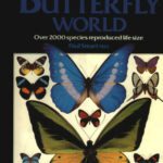 خرید و دانلود نسخه کامل کتاب The illustrated encyclopedia of the butterfly world