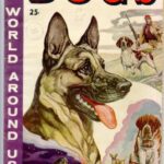 خرید و دانلود نسخه کامل کتاب The Illustrated Story of Dogs