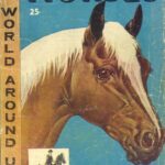 خرید و دانلود نسخه کامل کتاب The Illustrated Story of Horses