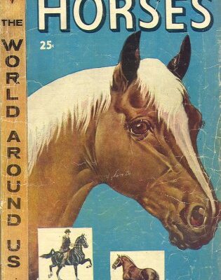 خرید و دانلود نسخه کامل کتاب The Illustrated Story of Horses