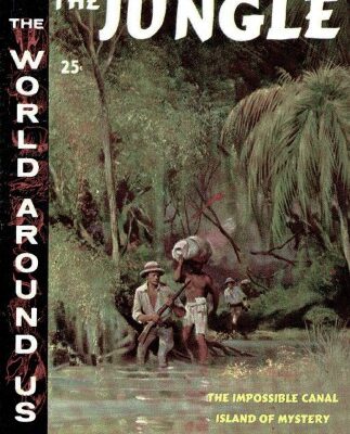 خرید و دانلود نسخه کامل کتاب The Illustrated Story of the Jungle