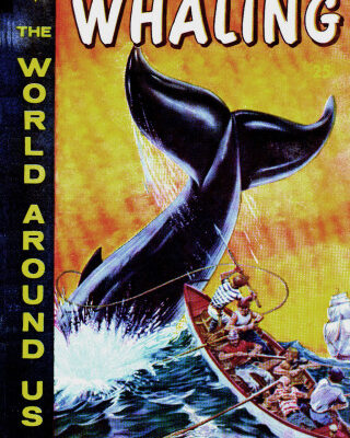 خرید و دانلود نسخه کامل کتاب The Illustrated Story of Whaling