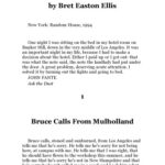 خرید و دانلود نسخه کامل کتاب The Informers