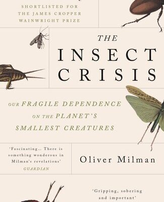 خرید و دانلود نسخه کامل کتاب The Insect Crisis : Our Fragile Dependence on the Planet’s Smallest Creatures