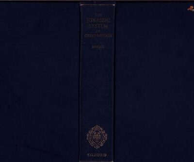 خرید و دانلود نسخه کامل کتاب The Jurassic system in Great Britain