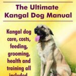 خرید و دانلود نسخه کامل کتاب The Kangal Dog: the Ultimate Kangal Dog Manual. Kangal Dog Care, Costs, Feeding, Grooming, Health and Training All Included.