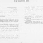خرید و دانلود نسخه کامل کتاب The Knuckle Gun