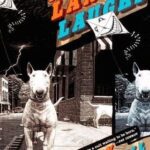 خرید و دانلود نسخه کامل کتاب The land of laughs