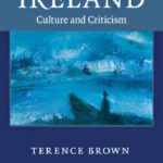 خرید و دانلود نسخه کامل کتاب The Literature of Ireland: Culture and Criticism