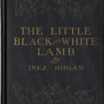خرید و دانلود نسخه کامل کتاب The Little Black and White Lamb