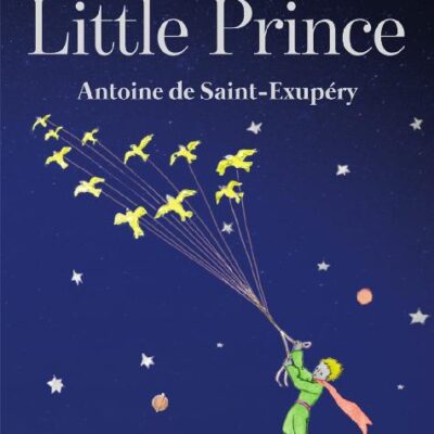 خرید و دانلود نسخه کامل کتاب The Little Prince
