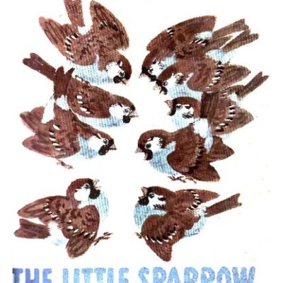 خرید و دانلود نسخه کامل کتاب The Little Sparrow