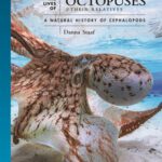 خرید و دانلود نسخه کامل کتاب The lives of octopuses and their relatives. A natural history of cephalopods
