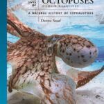 خرید و دانلود نسخه کامل کتاب The Lives of Octopuses and Their Relatives: A Natural History of Cephalopods