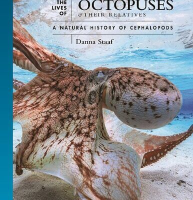 خرید و دانلود نسخه کامل کتاب The Lives of Octopuses and Their Relatives: A Natural History of Cephalopods