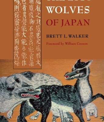 خرید و دانلود نسخه کامل کتاب The Lost Wolves of Japan