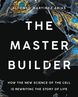 خرید و دانلود نسخه کامل کتاب The Master Builder